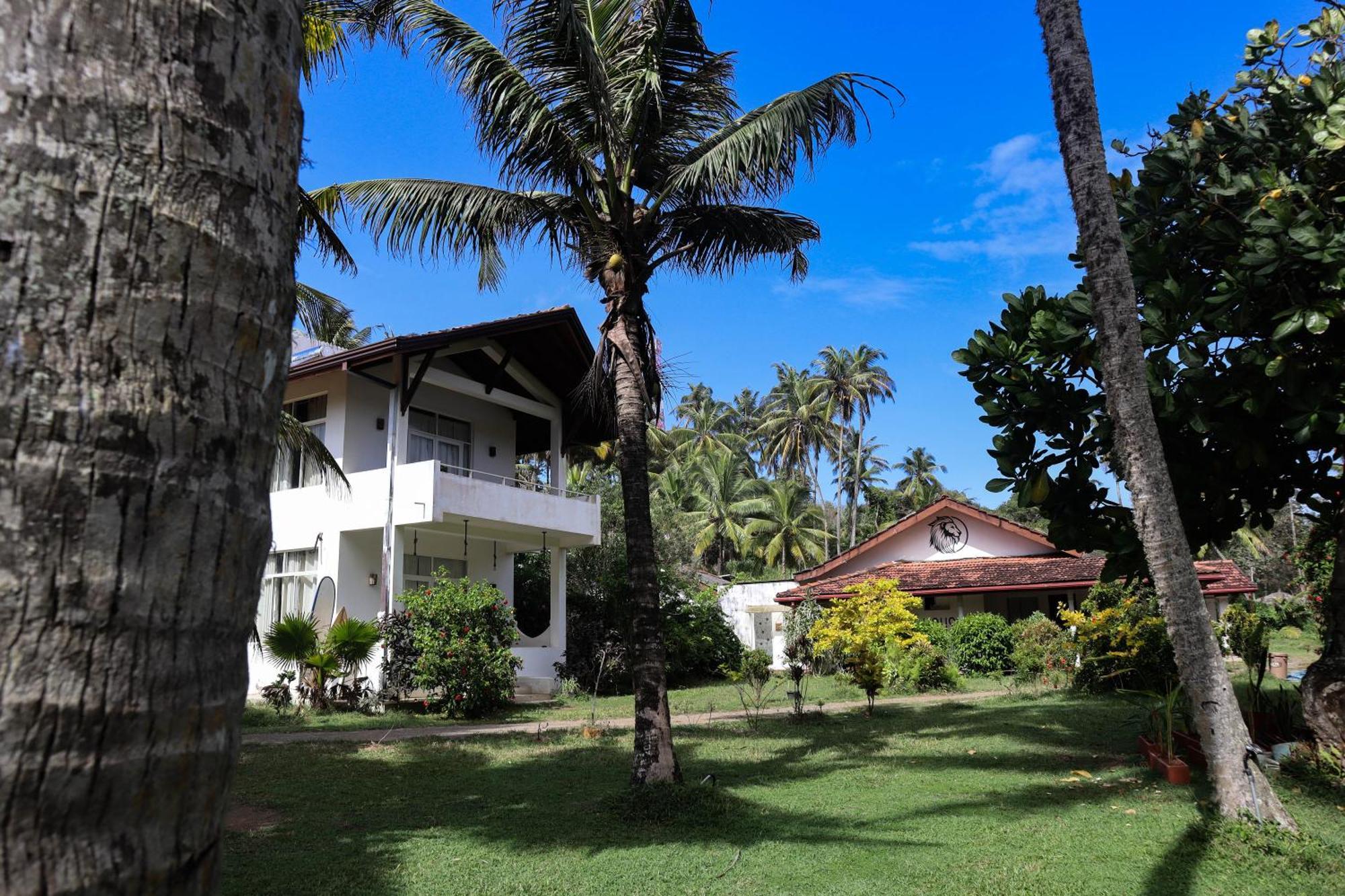 Singhe House Otel Dikwella Dış mekan fotoğraf